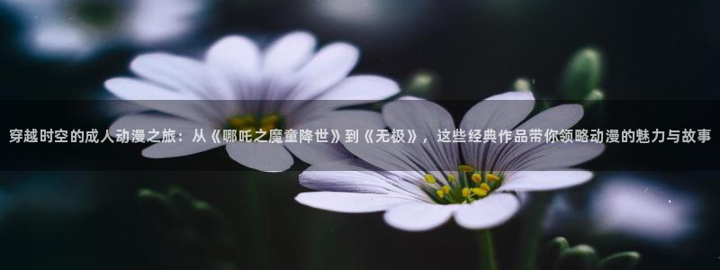 里番无翼鸟少女漫画：穿越时空的成人动漫之旅：从《哪吒之魔童降世》到《无极》，这些经典作品带你领略动漫的魅力与故事