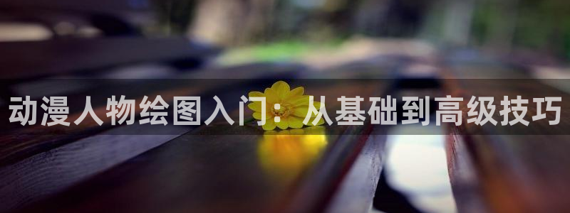 彩漫里番本子：动漫人物绘图入门：从基础到高级技巧