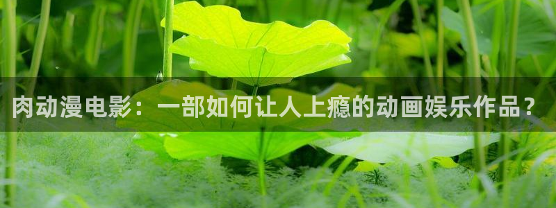 里番动漫中文字幕：肉动漫电影：一部如何让人上瘾的动画娱乐作品？