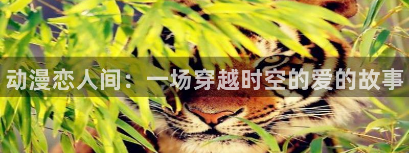 里番动漫有那些：动漫恋人间：一场穿越时空的爱的故事