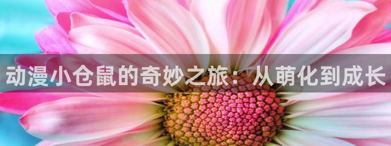好看动漫里番：动漫小仓鼠的奇妙之旅：从萌化到成长