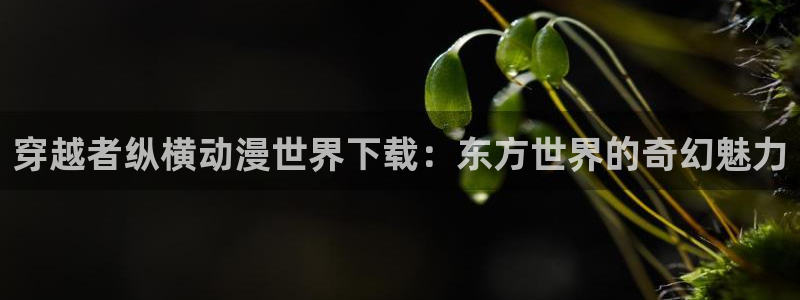 最新里番漫画：穿越者纵横动漫世界下载：东方世界的奇幻魅力