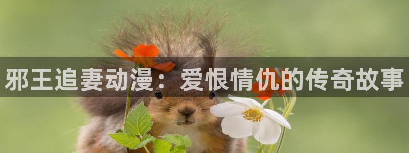火影里番动漫