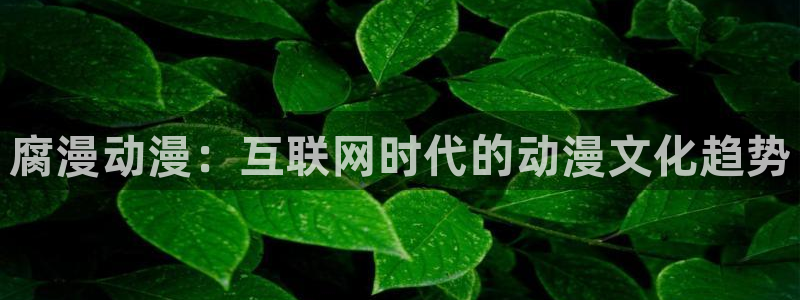 里番acg漫画下载