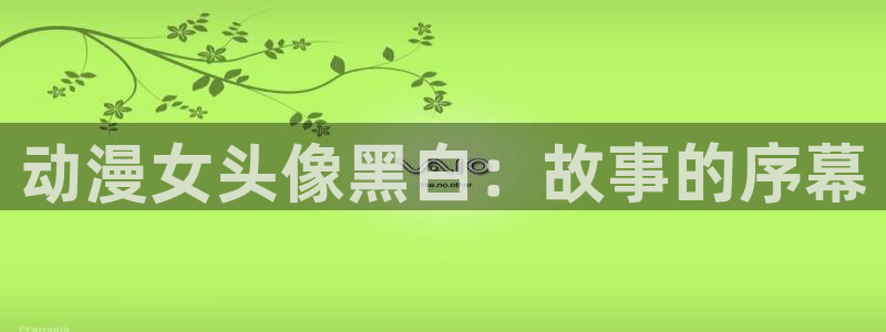 www.里番动漫：动漫女头像黑白：故事的序幕