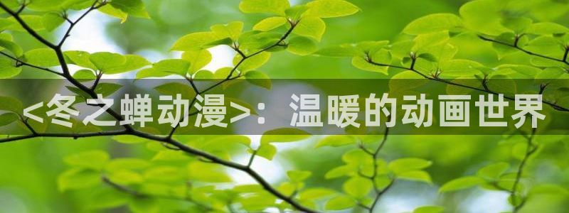 里番动漫排名：<冬之蝉动漫>：温暖的动画世界